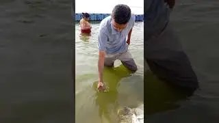 Jehan Gandhi getting digital snan at Sangam Prayagraj. Digi snan is free service. #shorts