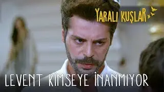 Levent Kimseye İnanmıyor | Yaralı Kuşlar 79. Bölüm (English and Spanish))