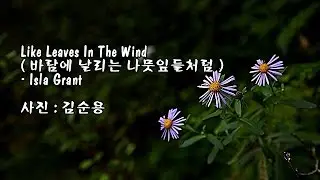 Like Leaves In The Wind(바람에 날리는 나뭇잎들처럼)/Isla Grant & 사진 : 김순용