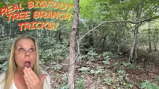Amazing Real Bigfoot Branch Tricks  #shorts #bigfoot #cryptid
