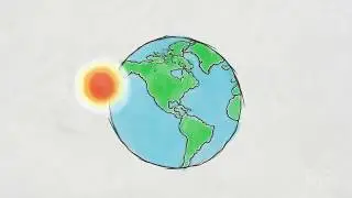 Photosynthesis: Part 1: Overview | HHMI BioInteractive Video