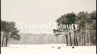 Winter Piano Music | Calm & Relaxing Instrumental for Study, Sleep, Cafe 