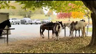 Canada Girls Trip: Horseback Riding, Zipline, Suspension Bridge
