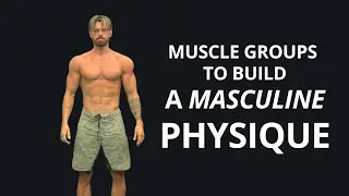 The Muscle Groups You Must Build for a Masculine Physique