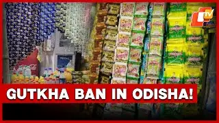 Gutkha Ban! Odisha Prohibits Sale And Distribution Of Nicotine-Based Products