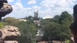 Disney world memories