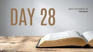 NT in 120   Day 28