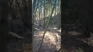 ww1 german bunker