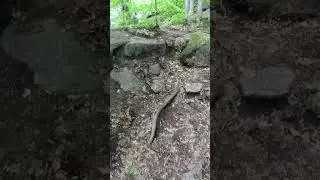 Hiking in quebec - recommended - awesome nature