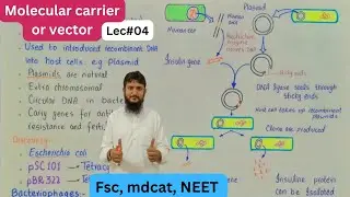 molecular carriers or vectors class 12 | Gene cloning | Recombinant DNA technology