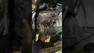 Nissan Qashqai dpf removal ame motors