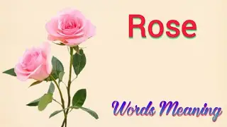 rose meaning in hindi | rose ka matlab kya hota hai | rose means | rose ka arth | spelling