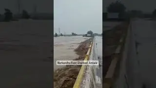 markandha river #shahbaddairy  #ambala #flood #trending #flood #haryana #shortsfeed #shorts