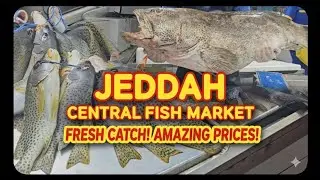 JEDDAH CENTRAL FISH MARKET |  JEDDAH   SAUDI ARABIA 