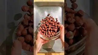 NUTELLA SALUDABLE CON 2 INGREDIENTES 🌰🍫 Sin gluten, sin az&uacute;car, vegana | Cara&ntilde;ola #Nutella #Healthy
