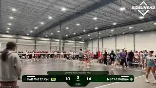 NS 17-1 Puffins @ Inside Out 16 MizBlk (2026.01.10)