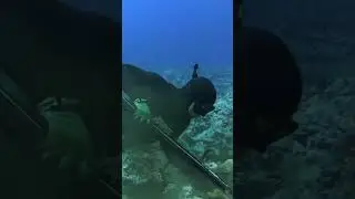 Watch The END KILL Octopus 2 in 1 WITH A BITE 🤣 🐙💥🐙🎣🐙💦#shorts #youtubeshorts #octopus