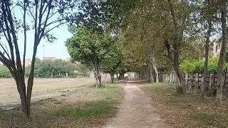 Walking tour  MDU in windy weather. Raw video. Natural sound. India 🇮🇳