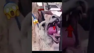 #необходимыеотношения