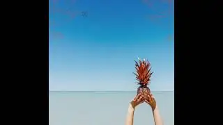 PALAWAN DELICACIES