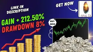 Opal EA MT4 Review: Does Psychological-Level Trading Really Work?