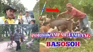 Baburu Babi Di Kampar Tambang(21-2-2021)