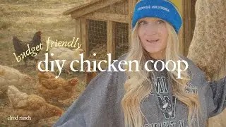 Budget Friendly Chicken Coop Set Up & Tour | Small Homestead Ideas