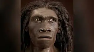 HOMO ERECTUS – Pierwszy człowiek drogi i ognia