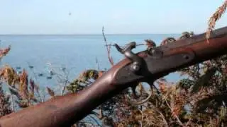 Hunting, Cleaning and Cooking Swan.wmv