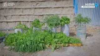 How Deqow Transformed His Home Garden into a Source of Food & Income