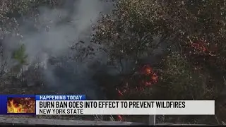 Burn ban goes into effect to prevent wildfires