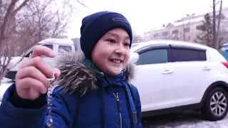 Вайны 