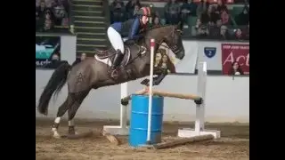 Kennebec Rugby Equine Affaire 2015 Breed Demo and Phillip Dutton Eventing Clinics