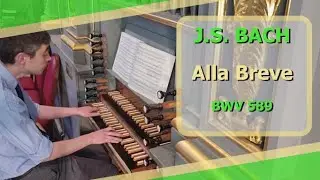 J.S. Bach - Alla breve (BWV 589) - Ben Bloor