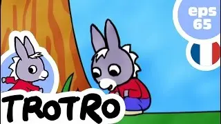 TROTRO - EP65 - Trotro et le nid