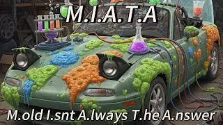 My Girl Let Her Car Turn Into a Science Experiment&hellip;