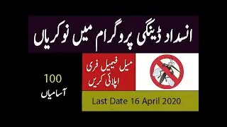 Jobs in District Health Authority Rahimyar Khan 09 April 2020