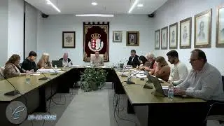 20251117 PLENO ORDINARIO