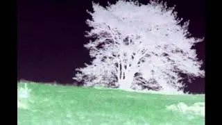 Five o'clockTraffic - RPC