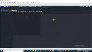 how to install ngrok server