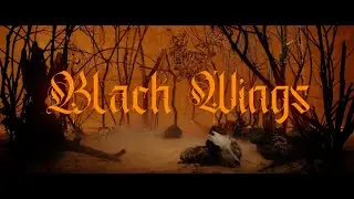 PARADISE IN FLAMES - BLACK WINGS (Official Video)