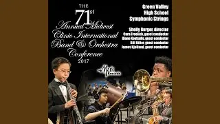 Bossa Verde (Live)