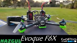 6inch Freestyle BnF | iFlight Evoque F6X