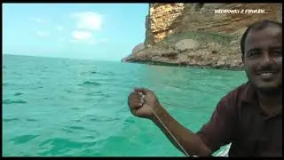 Socotra (Jemen) część II. Podróże Pawła Krzyka.
