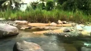 SECRET TRAINING AREA - RIVER AND 60 FT BAMBOO FOREST