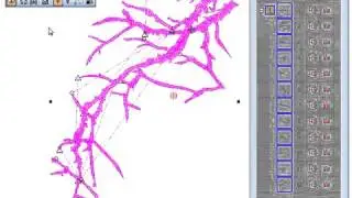 Wilcom Embroidery - Applying Automatic Branching | Al Borj