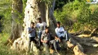 Devaa | Stop the Pattu Song | MOONDRU PER MOONDRU KAADHAL Contest | Indiaglitz | Yuvan