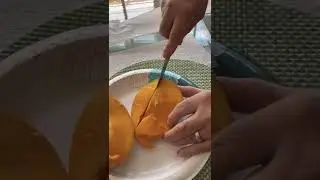 Fruit Punch Taste Test at Mango Manor July 2022
