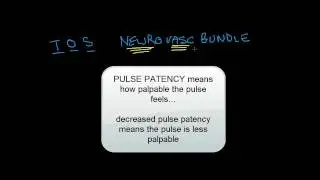 Thoracic Outlet Syndrome: tests and mechanisms