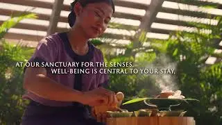 Stay More, Pay Less; Discover a Sanctuary of Wellness